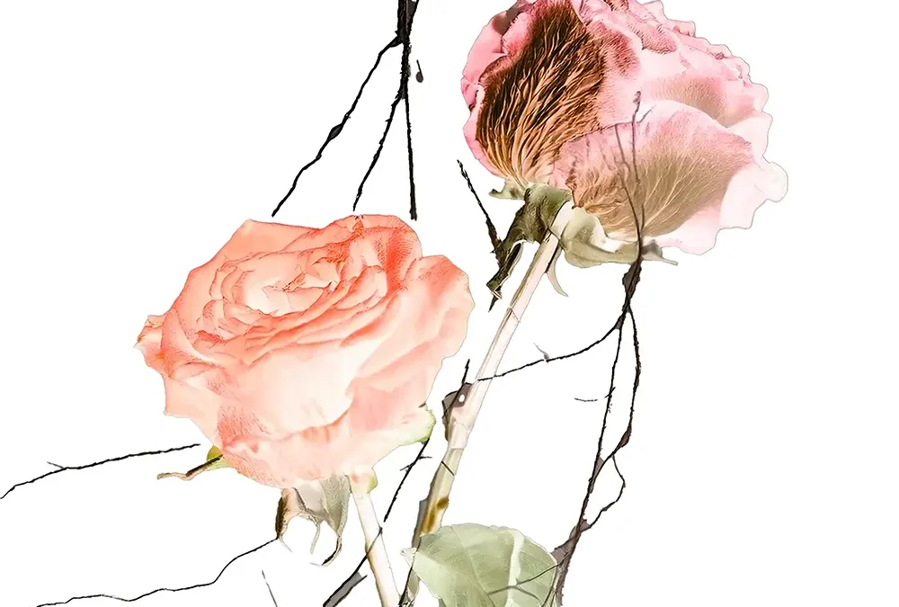 Sigue Vivo-Vic Mirallas