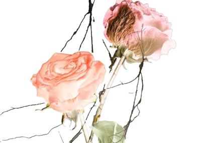 Sigue Vivo-Vic Mirallas